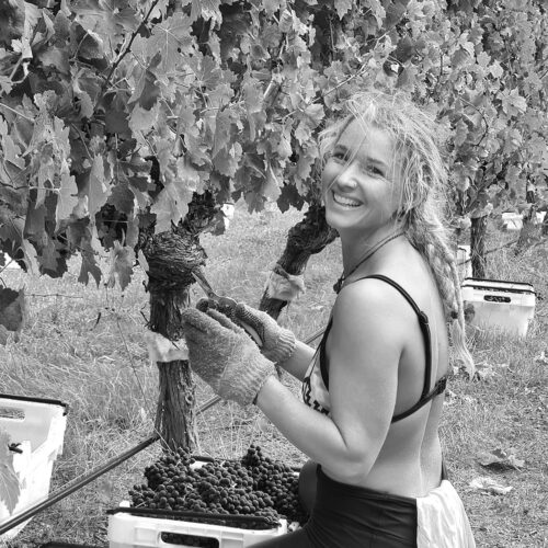 About Montague Estate